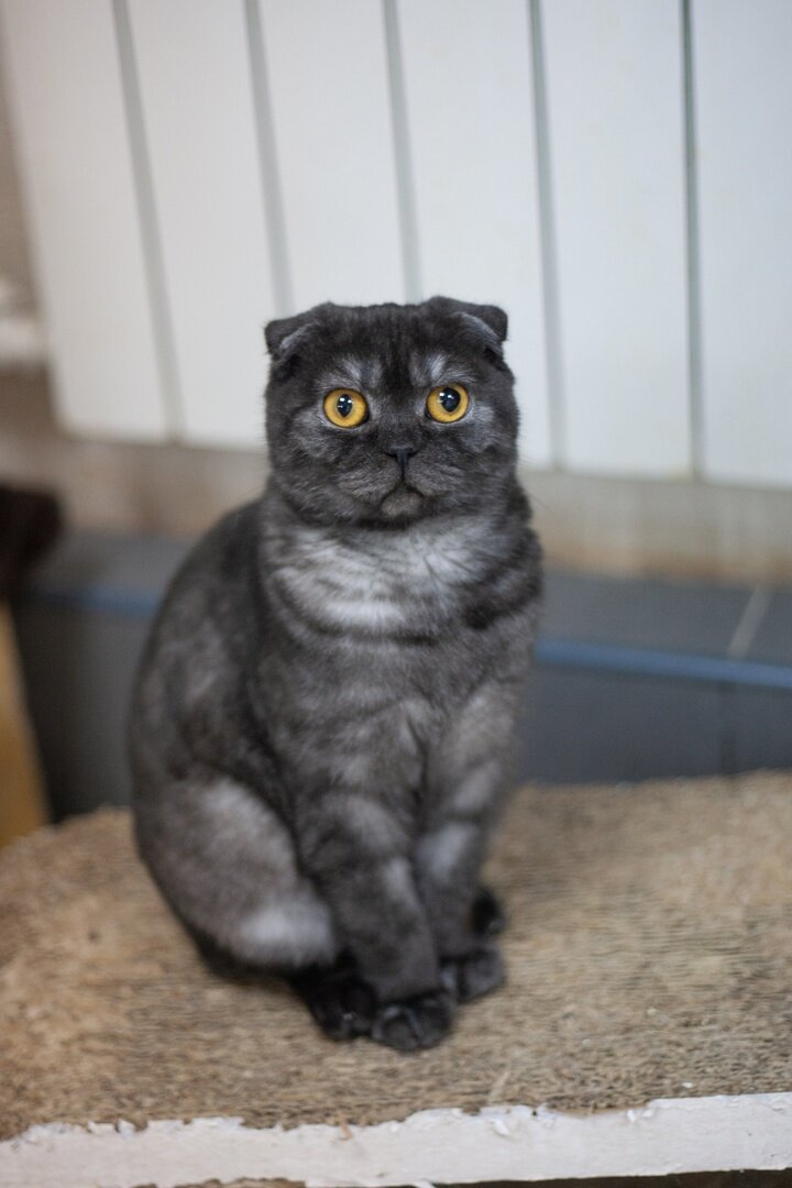 здесь Ася еще в приюте