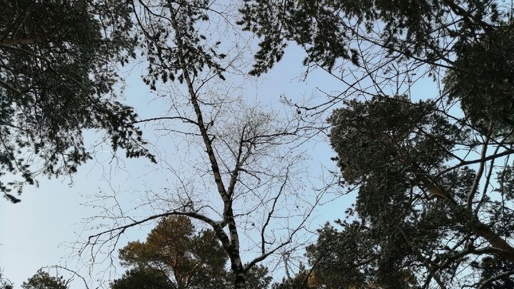 ФОТО: ЦАРЬГРАД.