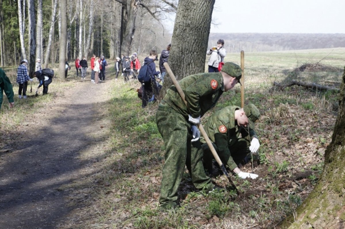    В 2023 году на территории музея «Ясная Поляна» высадят 200 молодых дубов