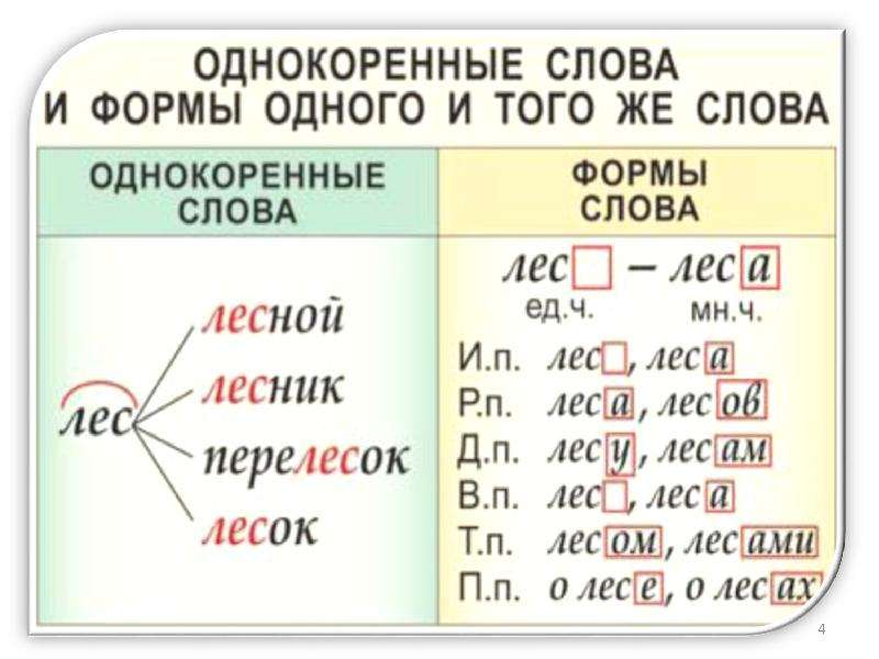 Изображение взято из Интернета