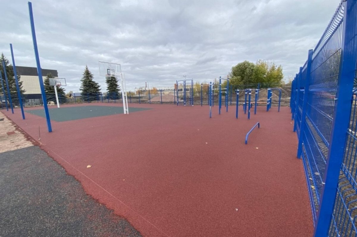    Юрченко призывает псковичей поддержать создание спортплощадки