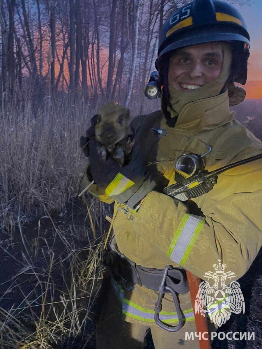 Рота пожар. Фото пожарных. Пожарник и пожарный. Российские пожарные. Пожар в лесу.