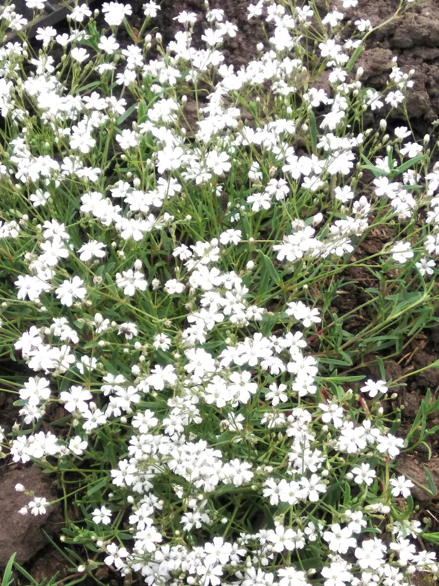 Фото 2022 года.