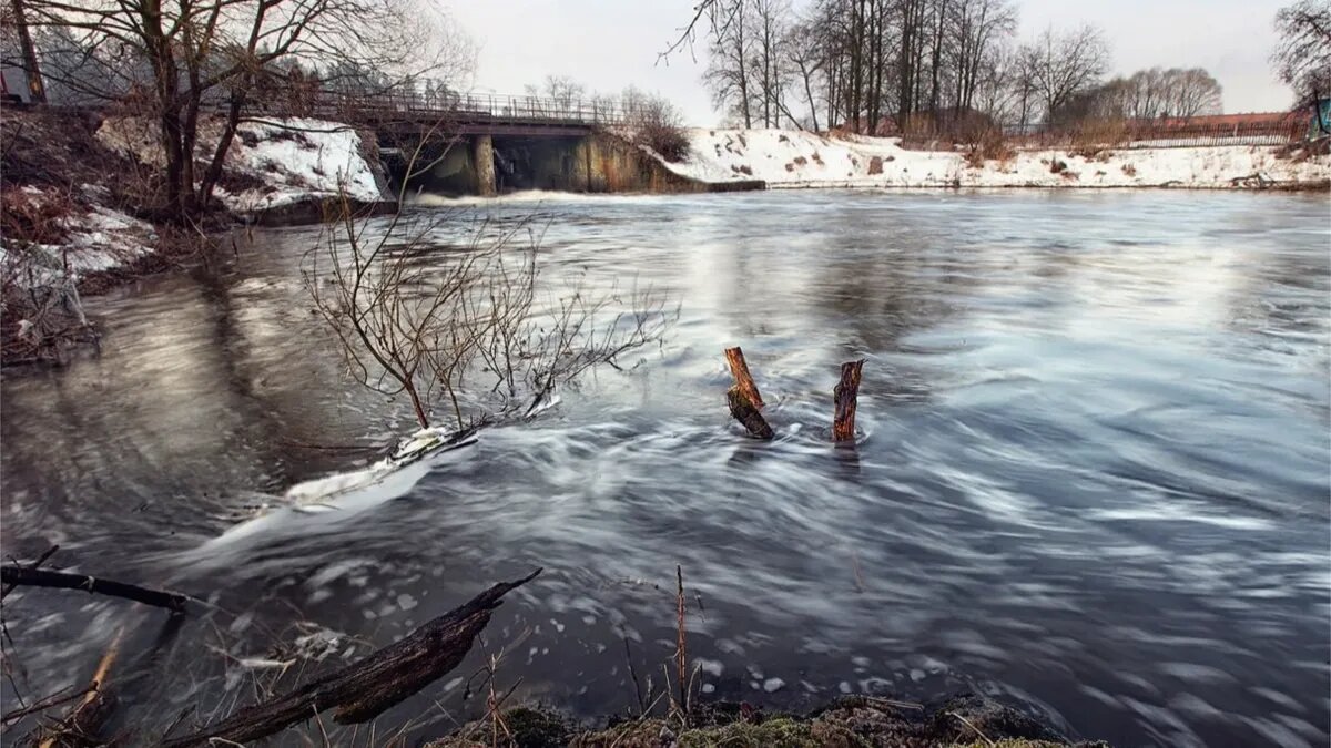 Фото: СК РФ по НСО