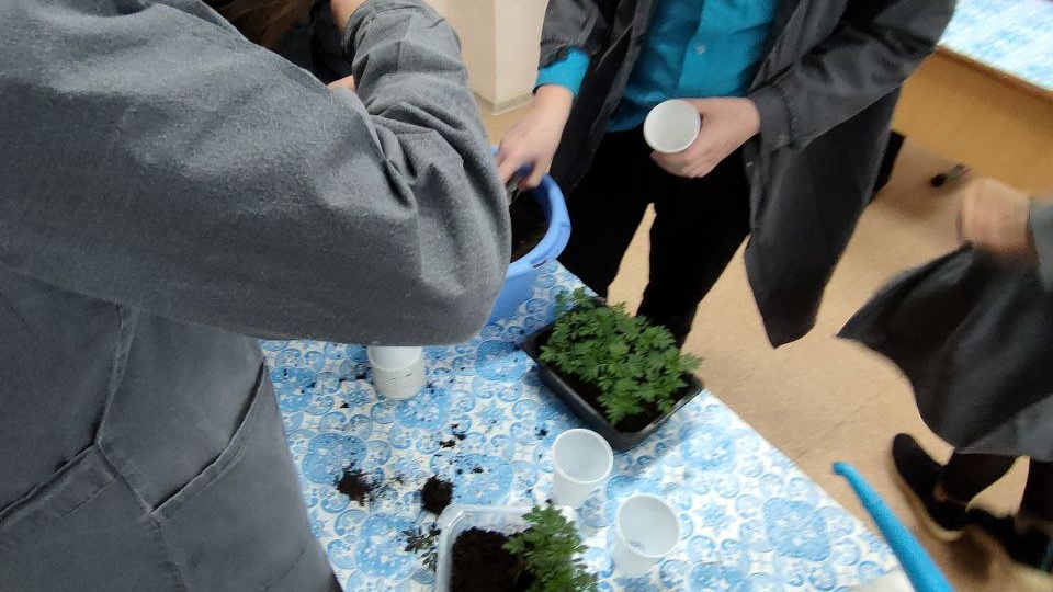 В Кировградской школе - интернат с 17.04.2023-21.04.2023 года проходила неделя "Труда ".