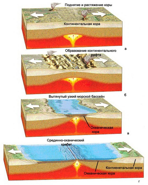Внутри континентальные. Схема образования земной коры. Этапы развития земной коры 7 класс география. Этапы земной коры рифт. Континентальные плиты земной коры.