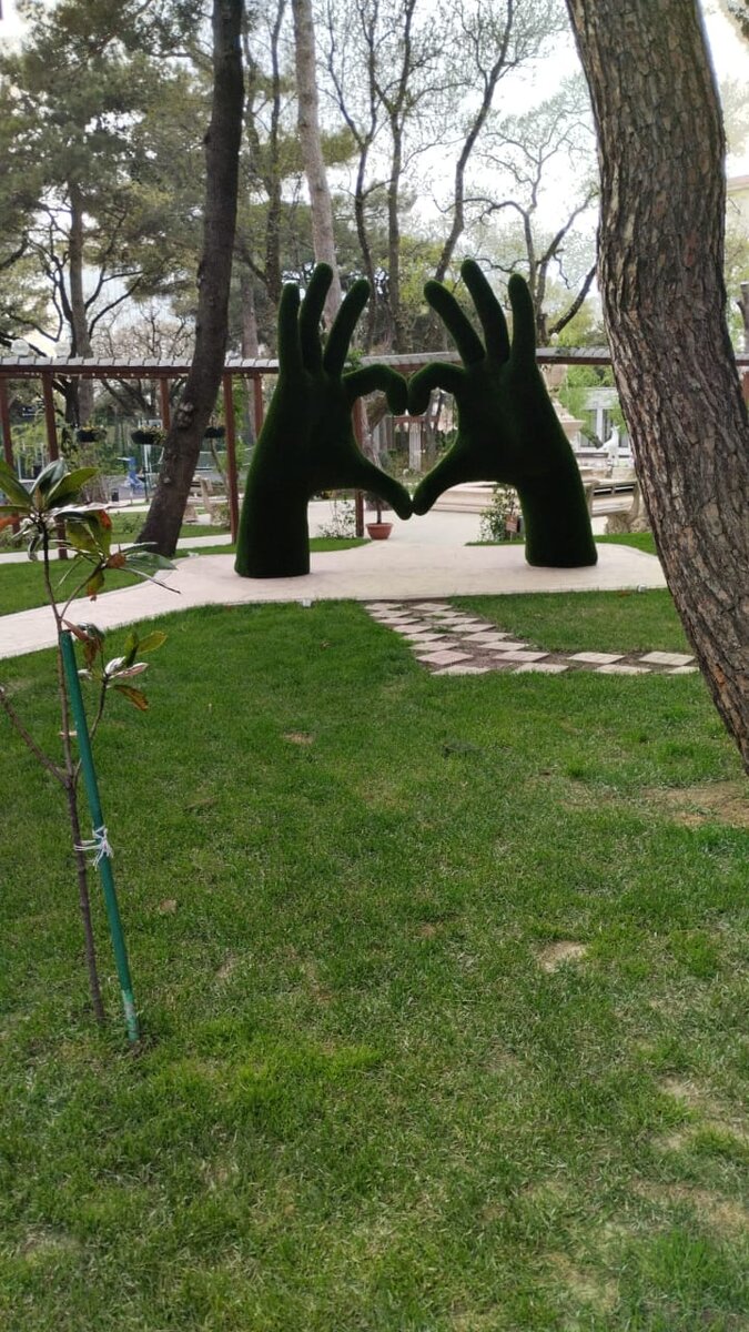 Территория санатория.