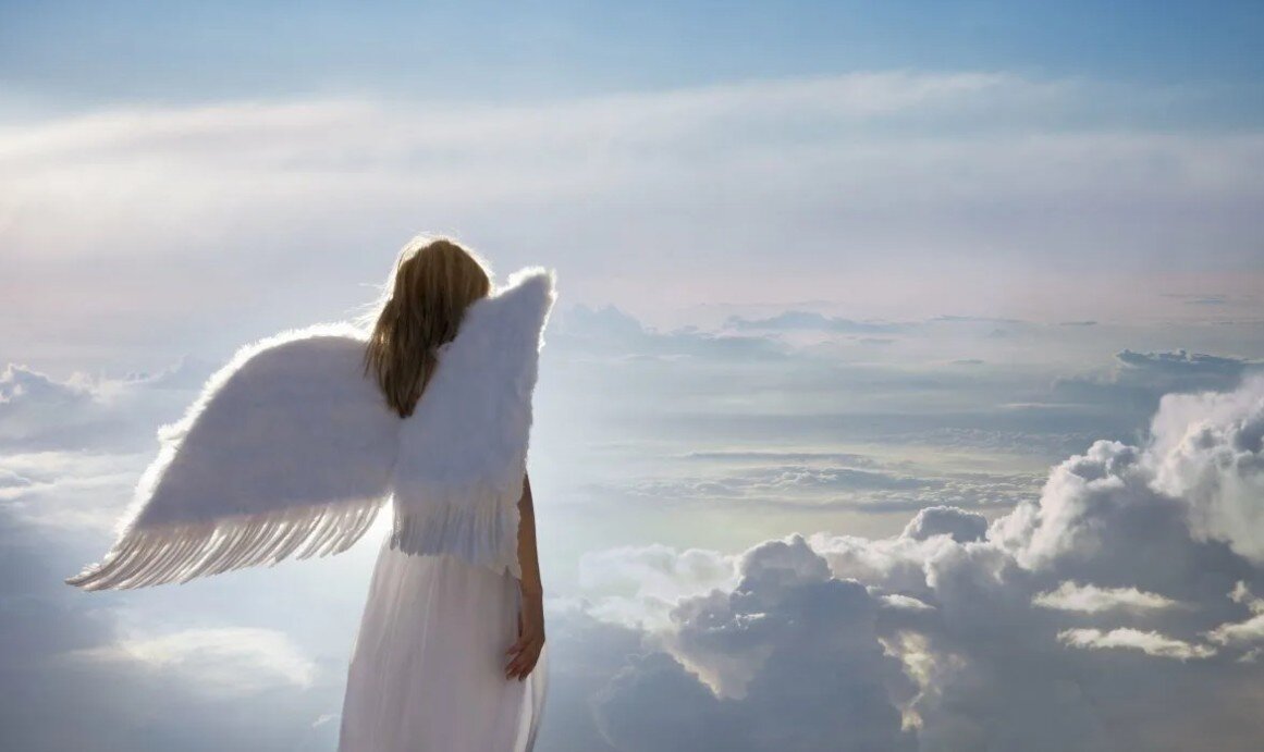 Взято из Яндекс Картинки