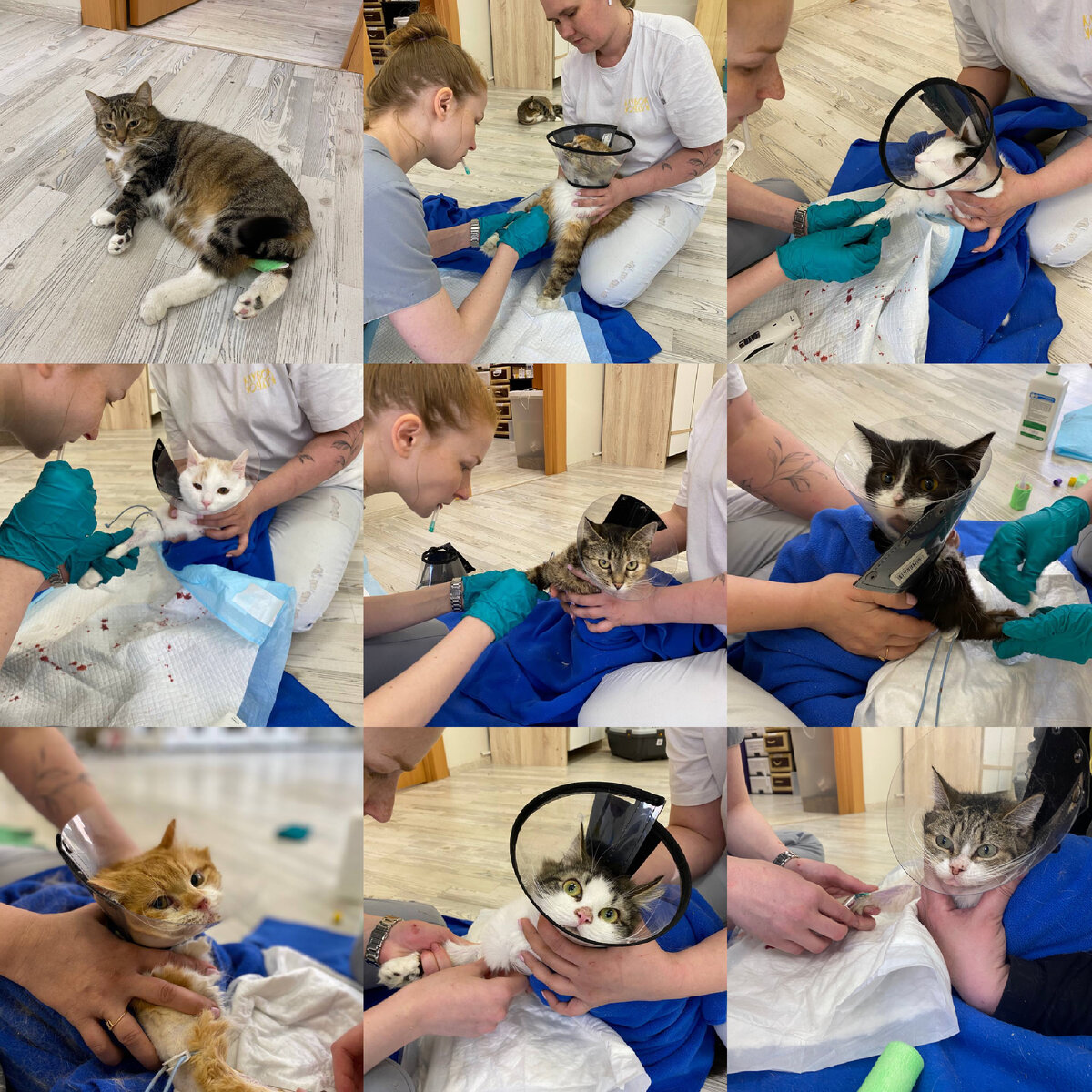 Чтобы не добавлять 100500 фото, решила сделать коллаж. Или лучше побольше фоточек в статью добавлять? Как Вам больше по душе? 