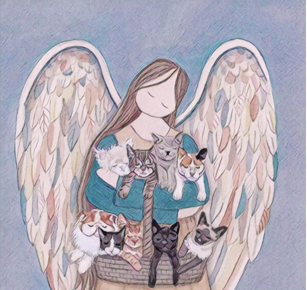 В христианстве нет ответа на эти вопросы. Но был Ноев ковчег и всех, кого надо, сохранили по паре. Яндекс картинка