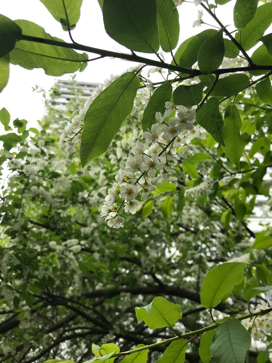 фото автора канала