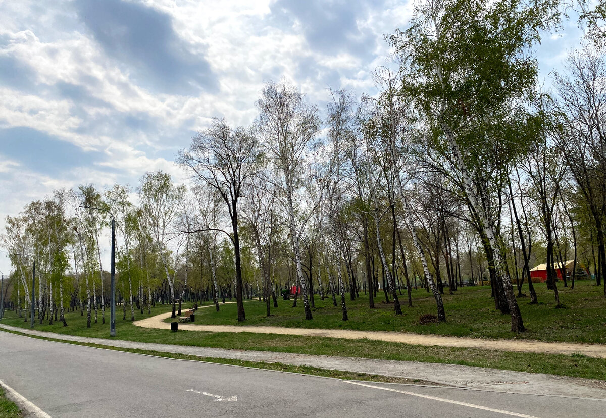 Вело- и пешеходные дорожки