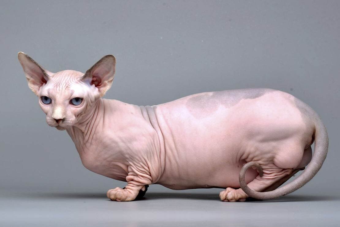 Фото из интернета 