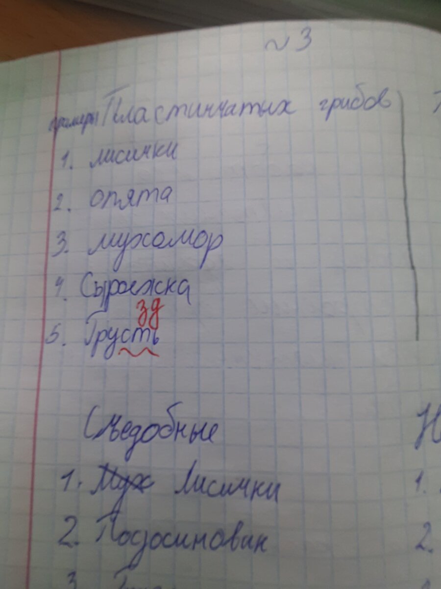 А в воздухе царит весна... | Записки из провинции. | Дзен