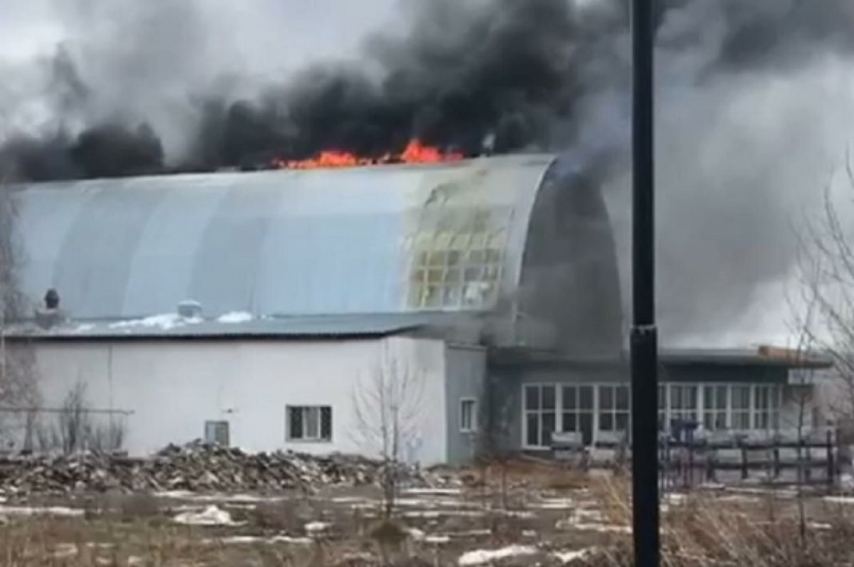 Пожар в усть илимске. Пожары. Пожар в Усть Славянке. Пожар фото.