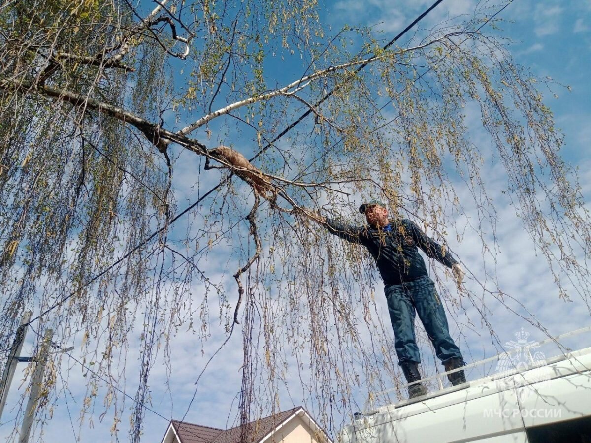    ГУ МЧС РФ по Нижегородской области Арина Полтанова