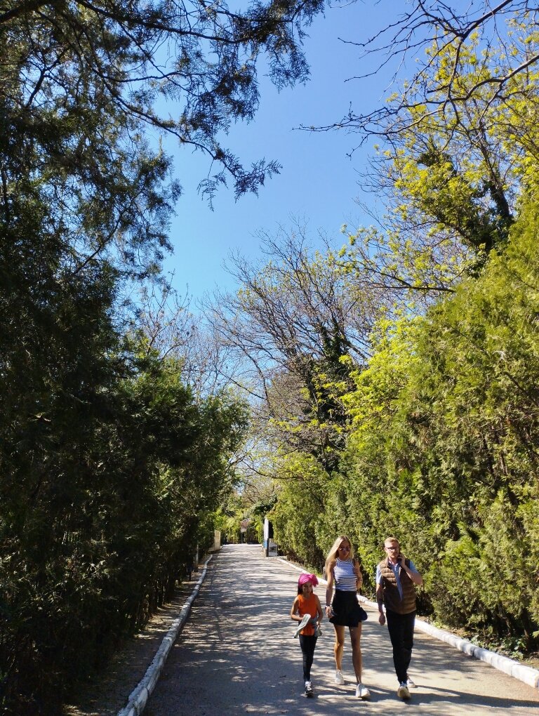 Сегодня в Коктебеле. Фото автора канала