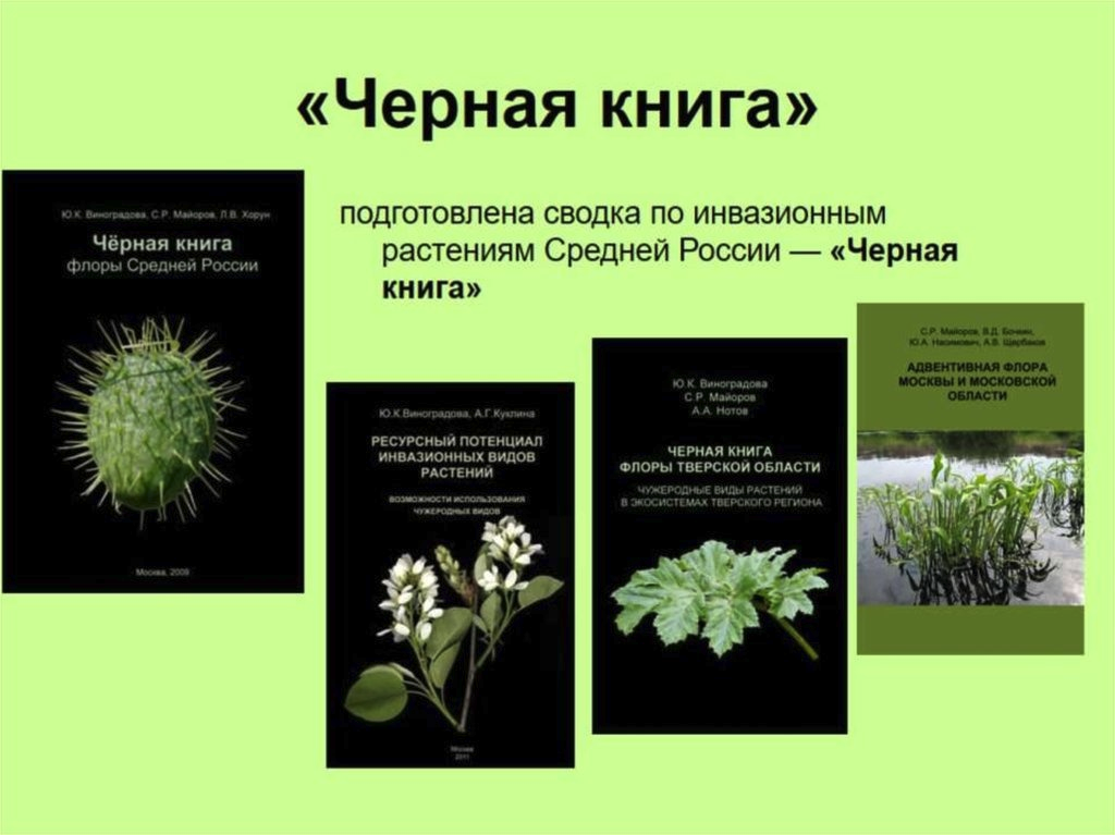 Красная книга растений россии страницы. Черная книга растений. Черная книга растений России. Растения в чёрной книше. Чёрные страницы красной книги растения.