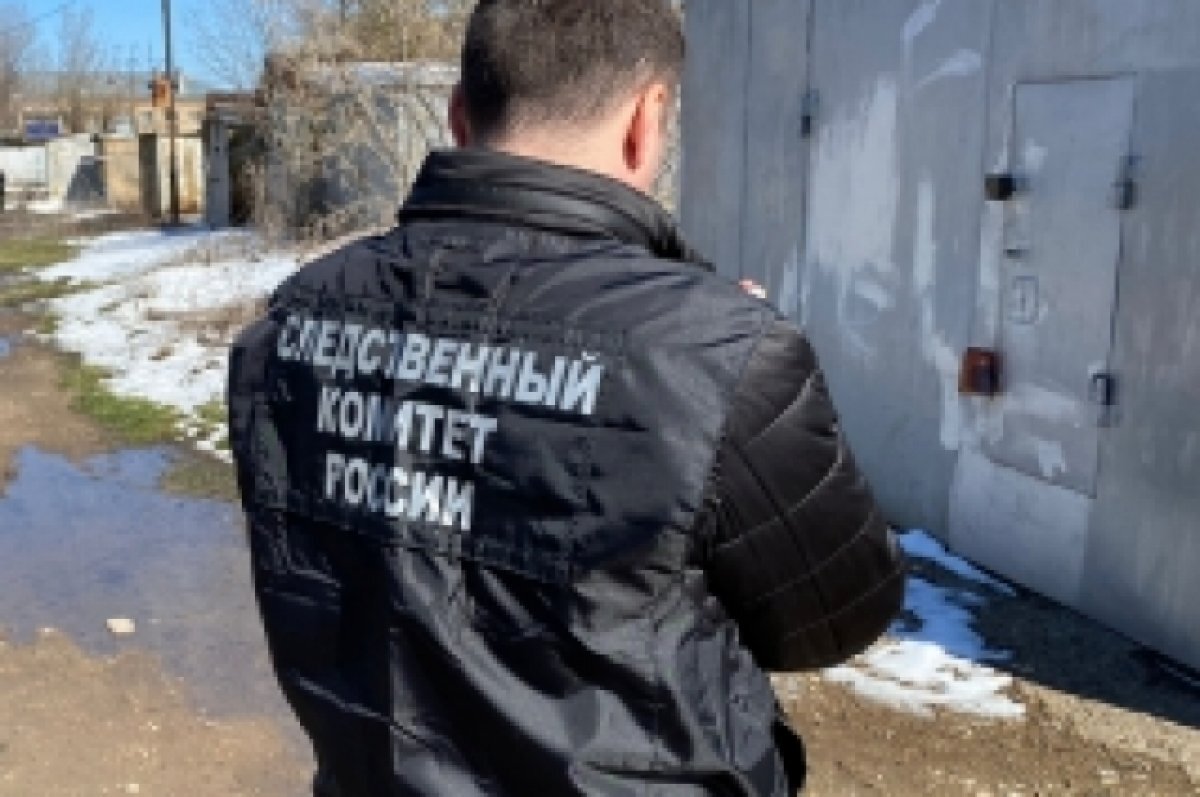    В Приморье ребенок госпитализирован после нападения бультерьера