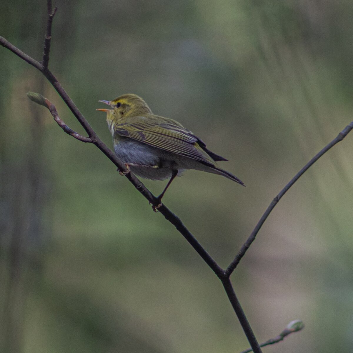 Фотка из моего тг канала