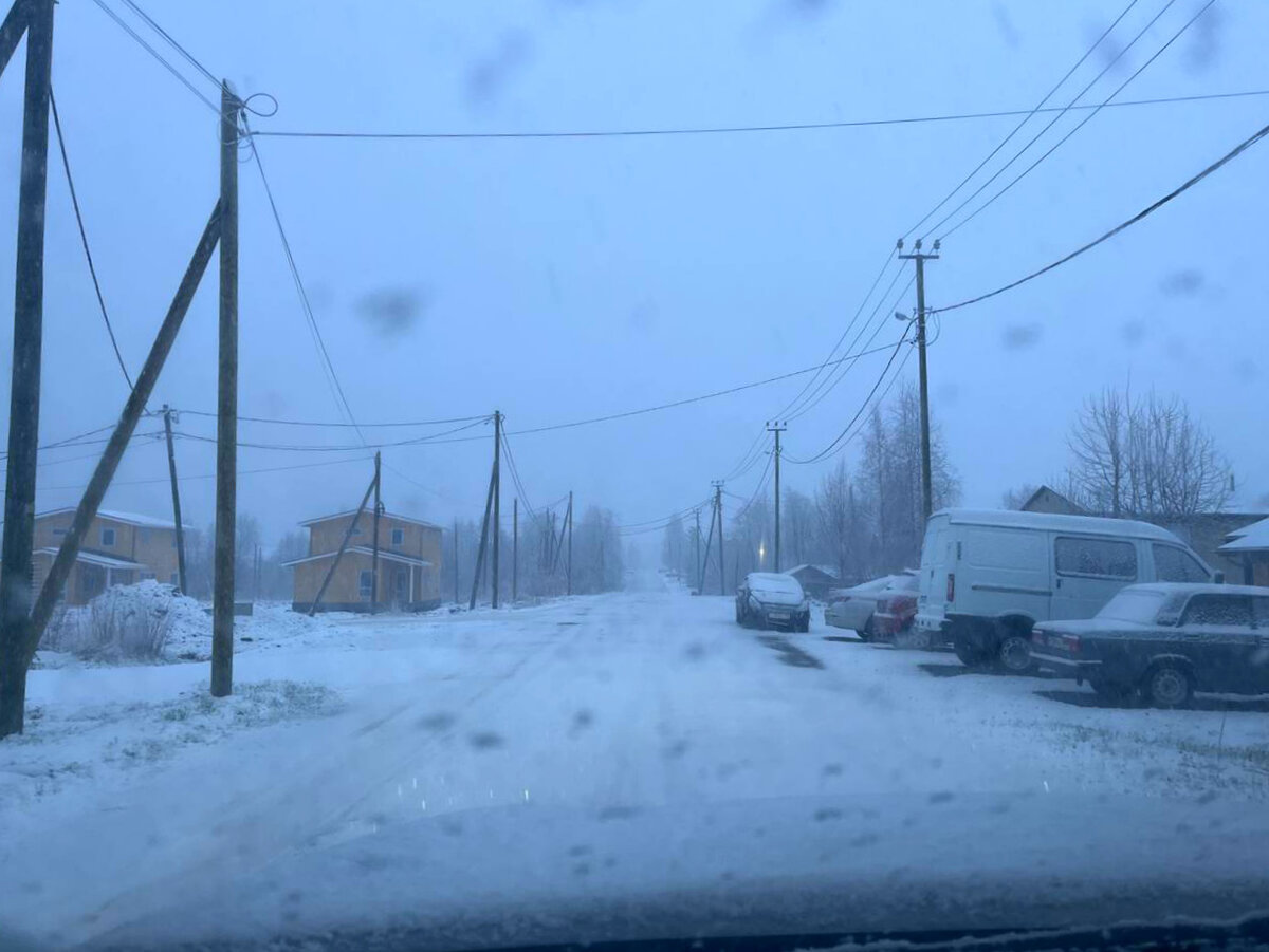    Цветы под снегом фотографируют жители посёлка КарелииПодписчик "Фактор News"