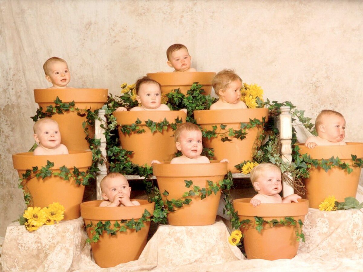 Фото из интернета