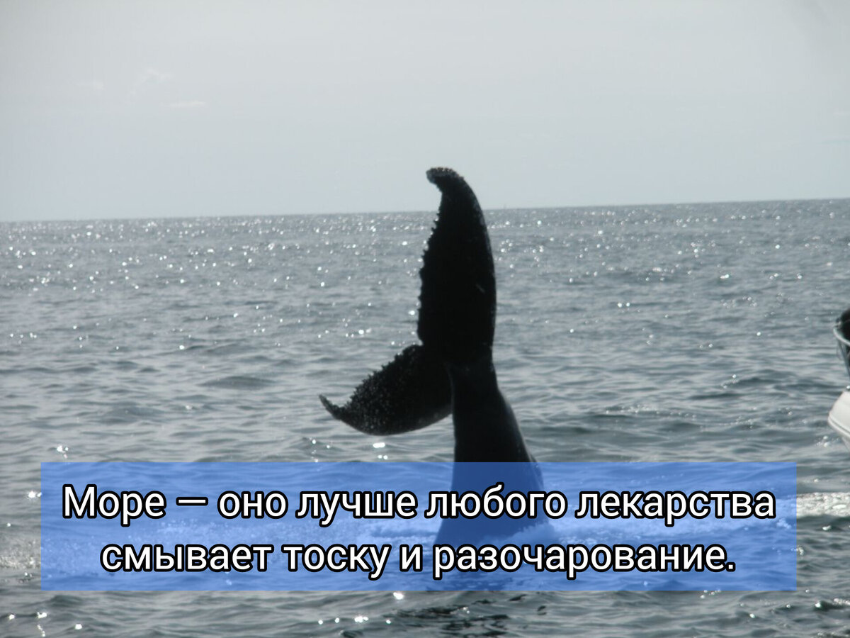 Из архива Л. Нуриевой