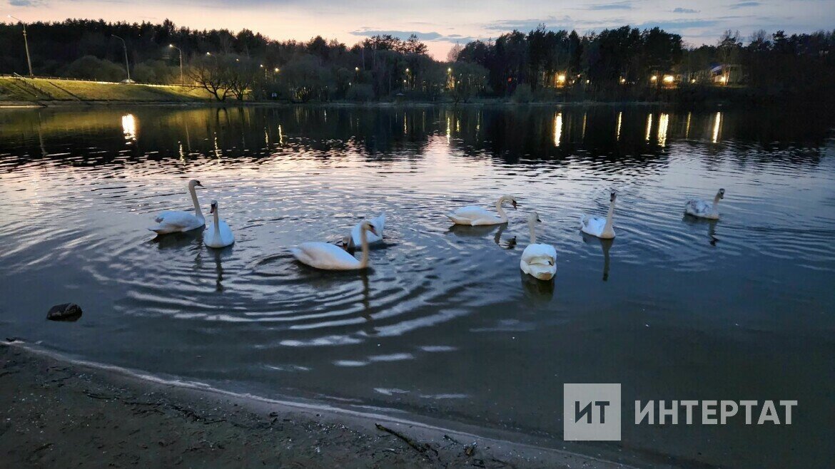 В Минске много зелени, водоемов. Город окружен лесами. Воздух в городе свежий и приятный
Фото: © Рифат Каюмов / «Татар-информ»