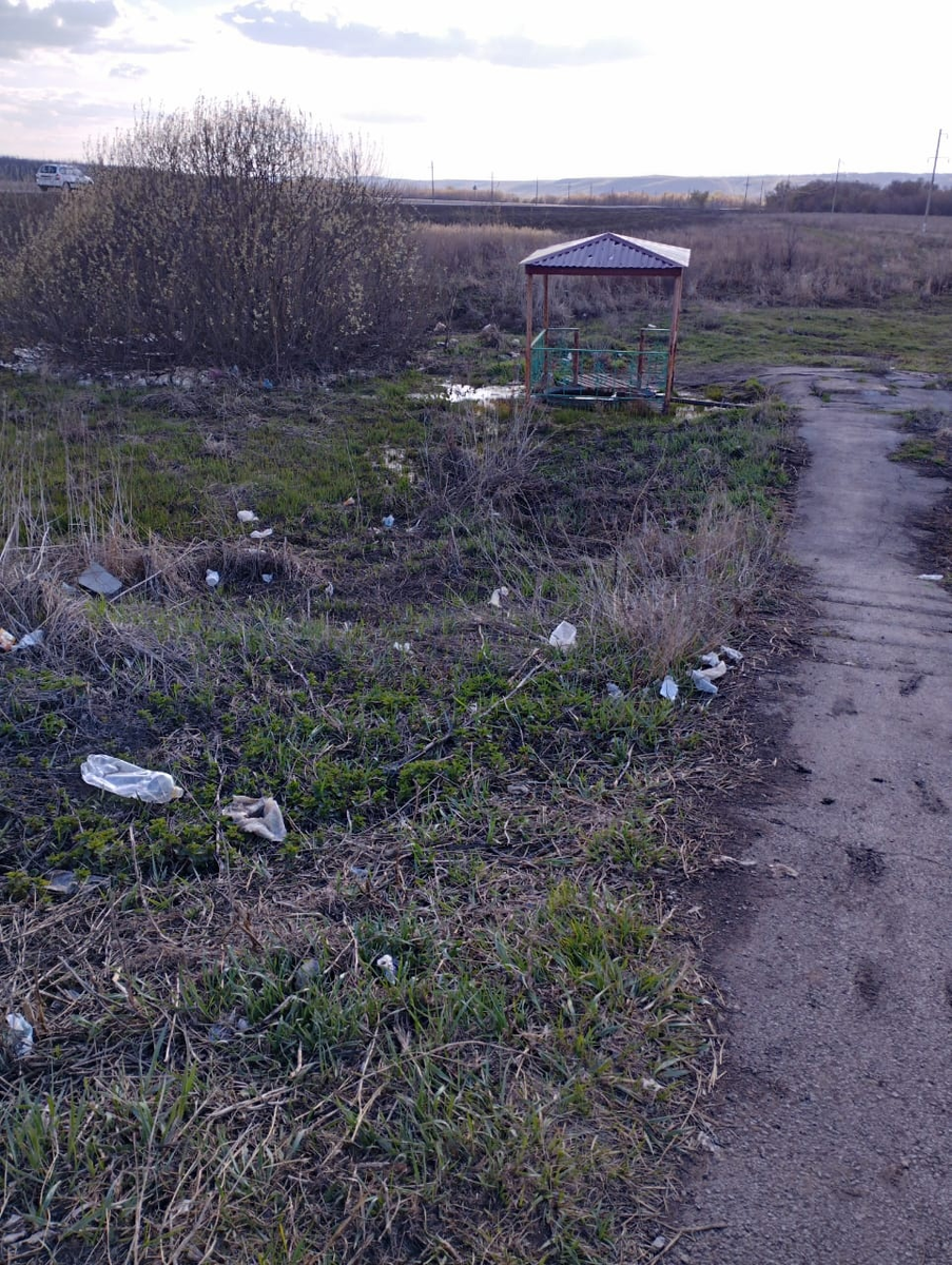 Фото родника до уборки