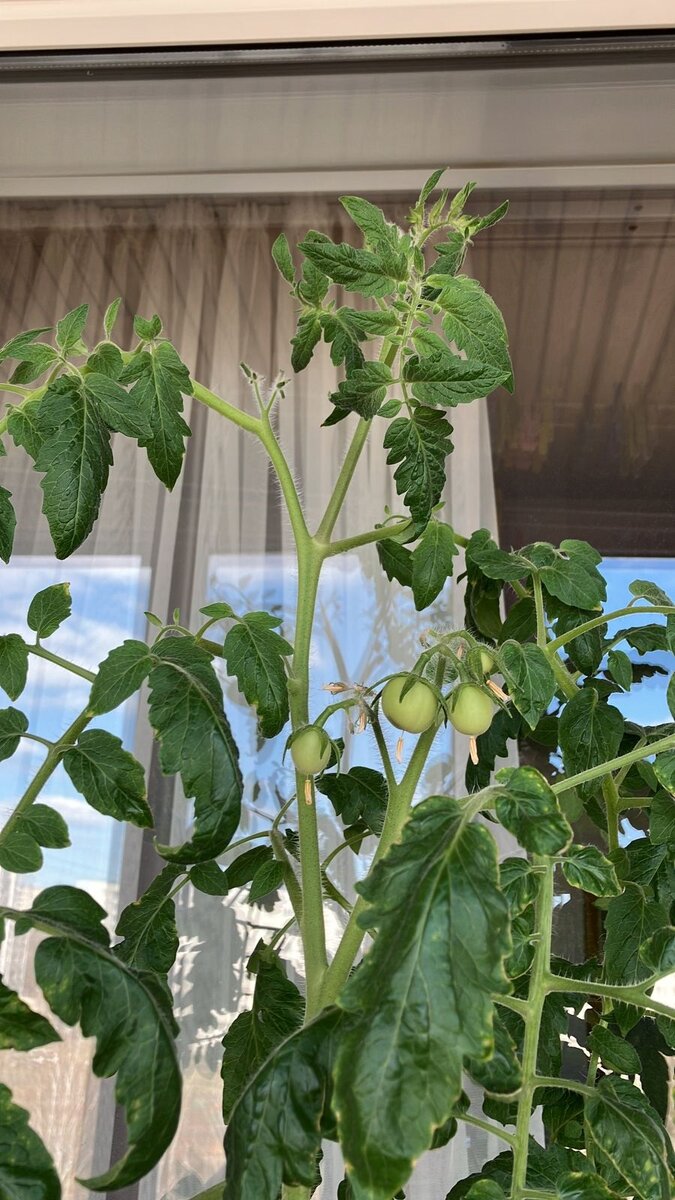 источник фото собственный архив