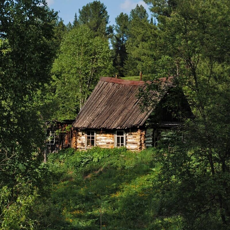 Домик в лесу издали