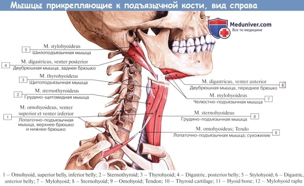 Вскрытие вызвало вопросы относительно истинной причины смерти финансиста Эпштейна