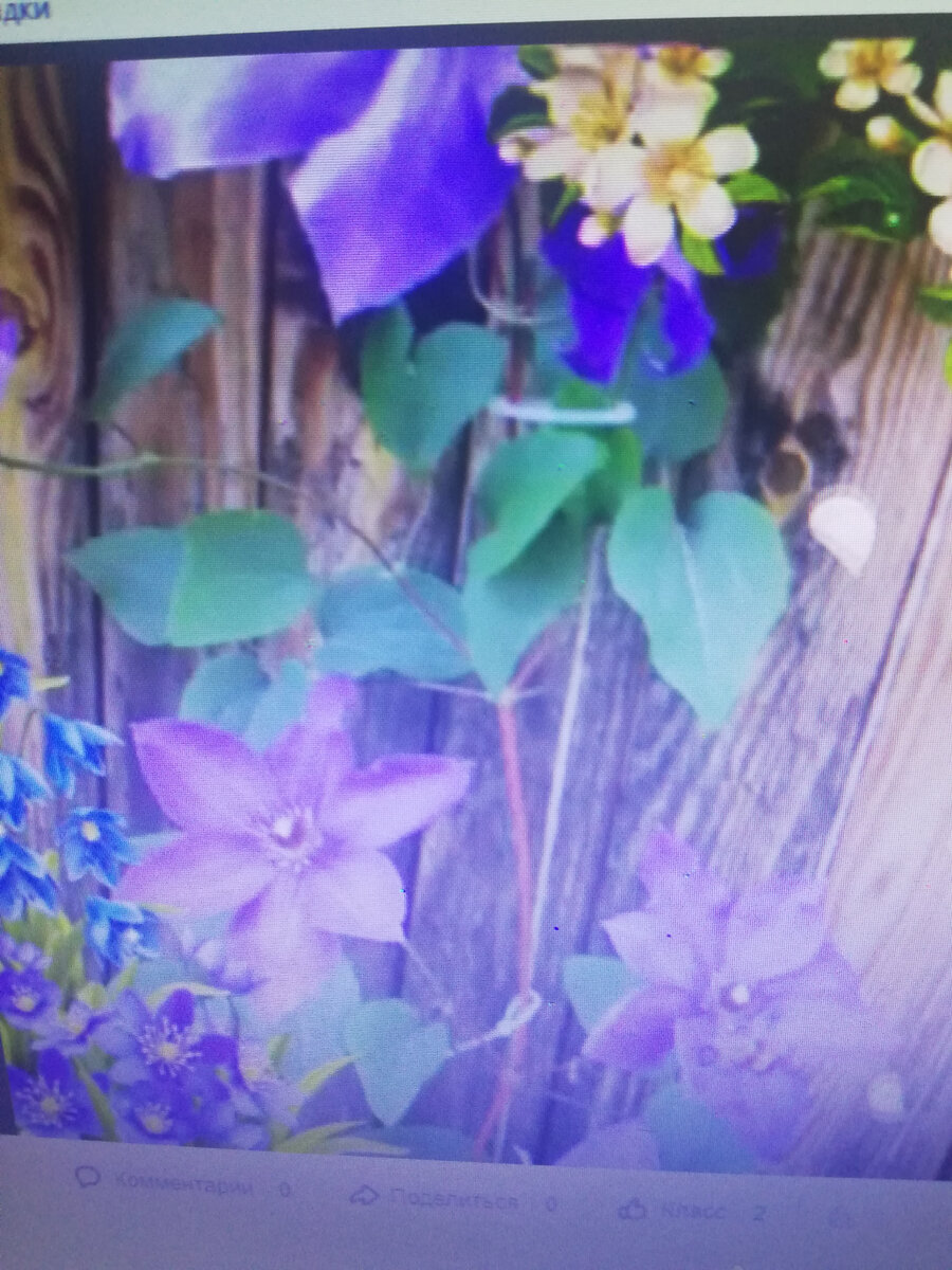 Ф.ото с одноклассников.