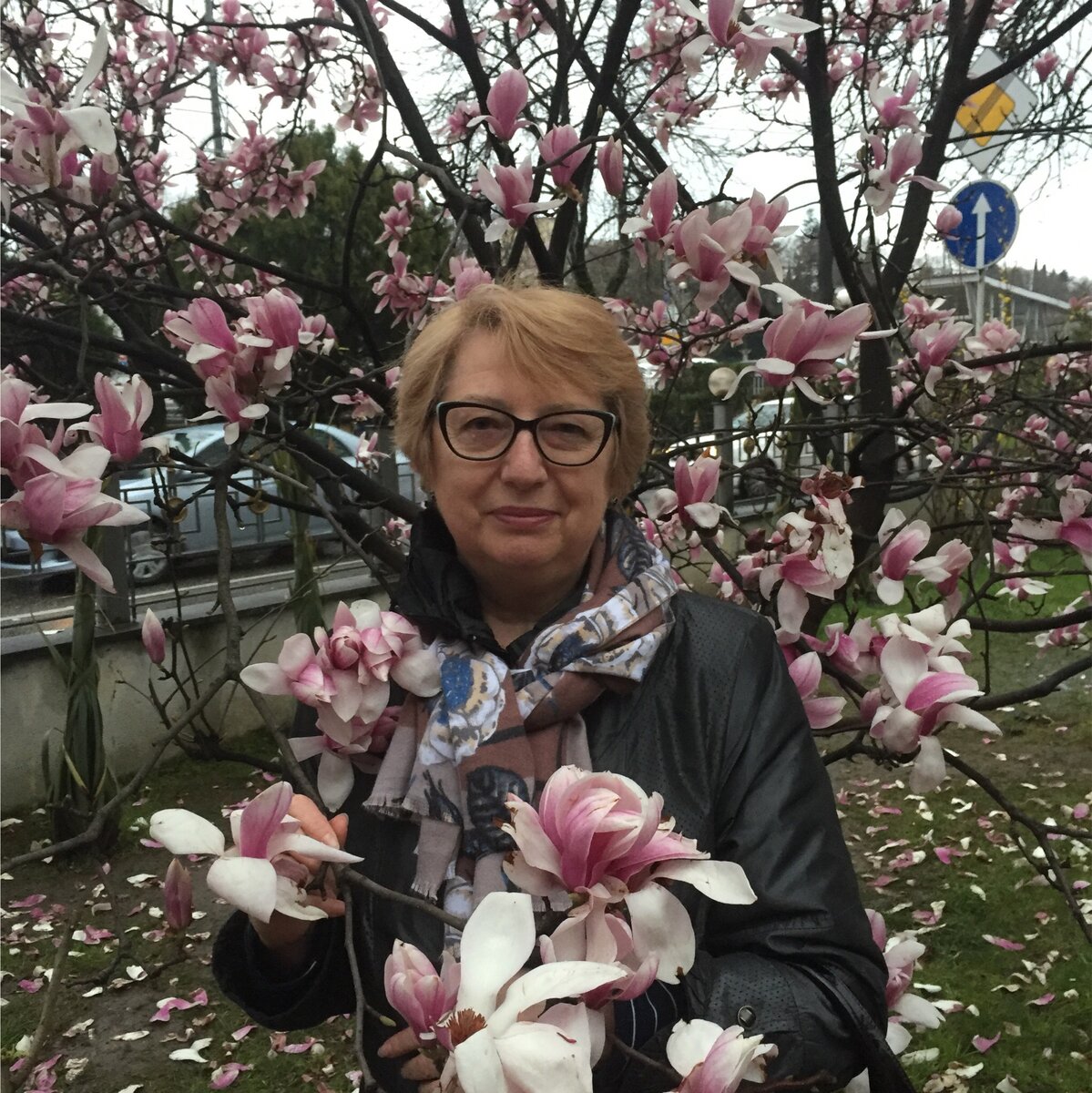 Елена Амосова