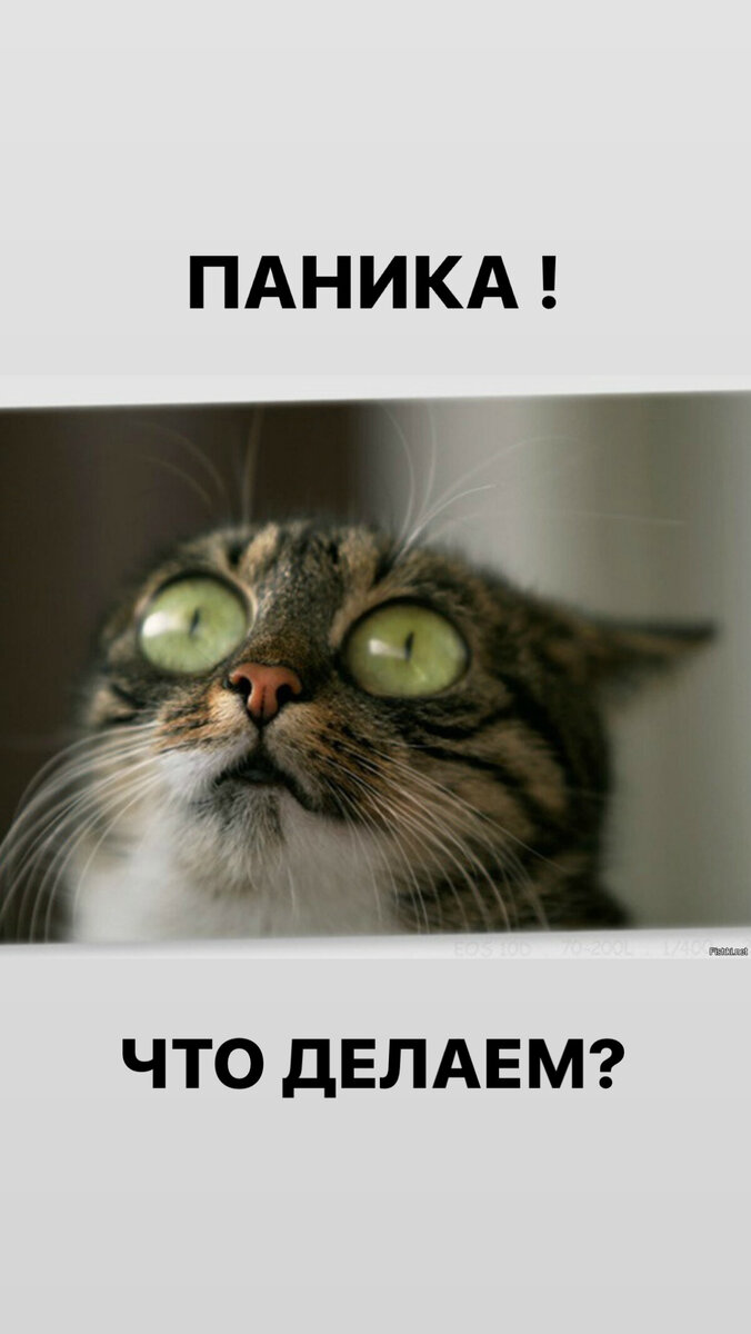 Фото из открытого источника