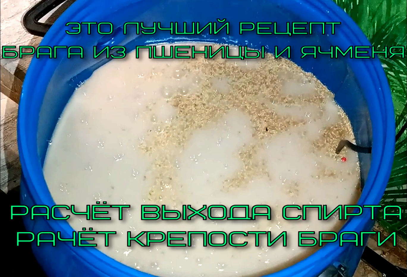 Брага из пшеницы для самогона. Брага на пшенице без проращивания. Брага из пшеницы для самогона. Брага на пшенице рецепт на 30. Пшеница на 50 л браги/10 кг.