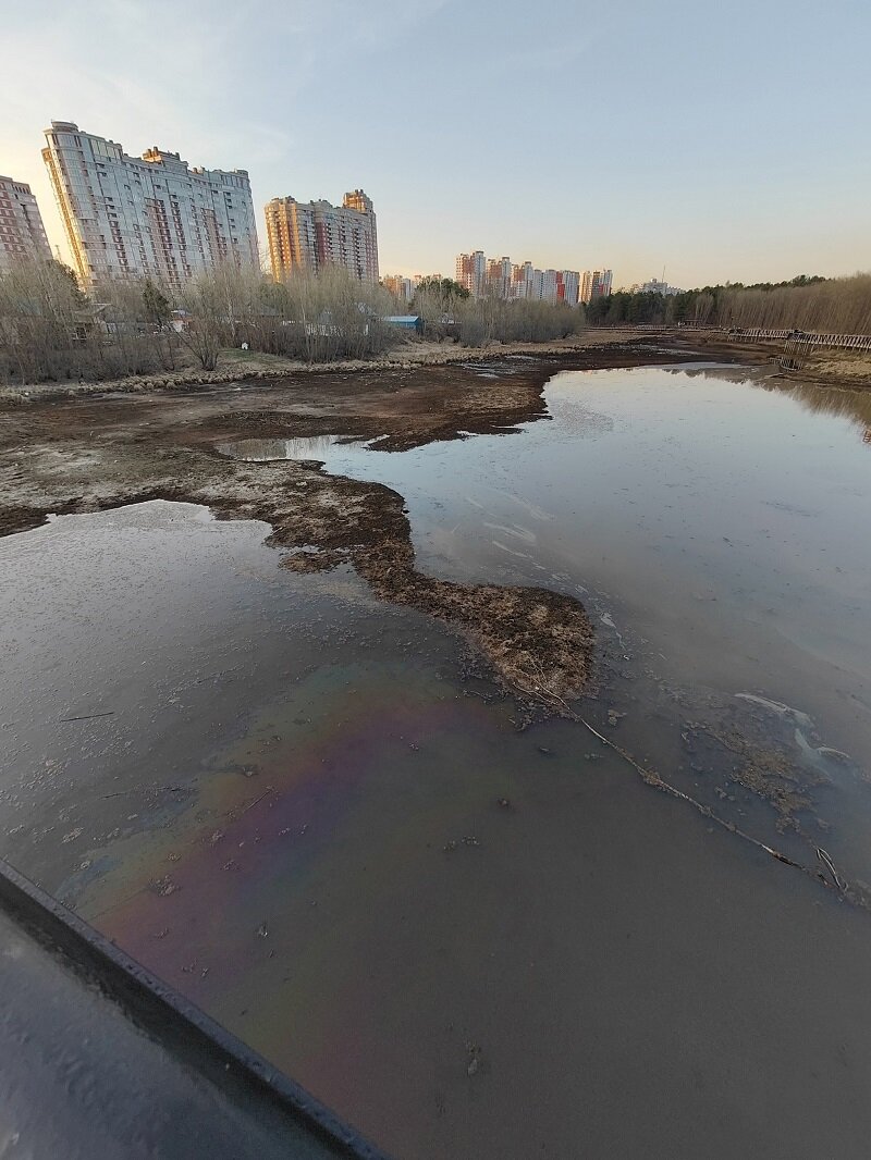    Сайма в Сургуте наполнится водой до конца мая