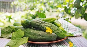    Фото: freepik.com Анна Полякова