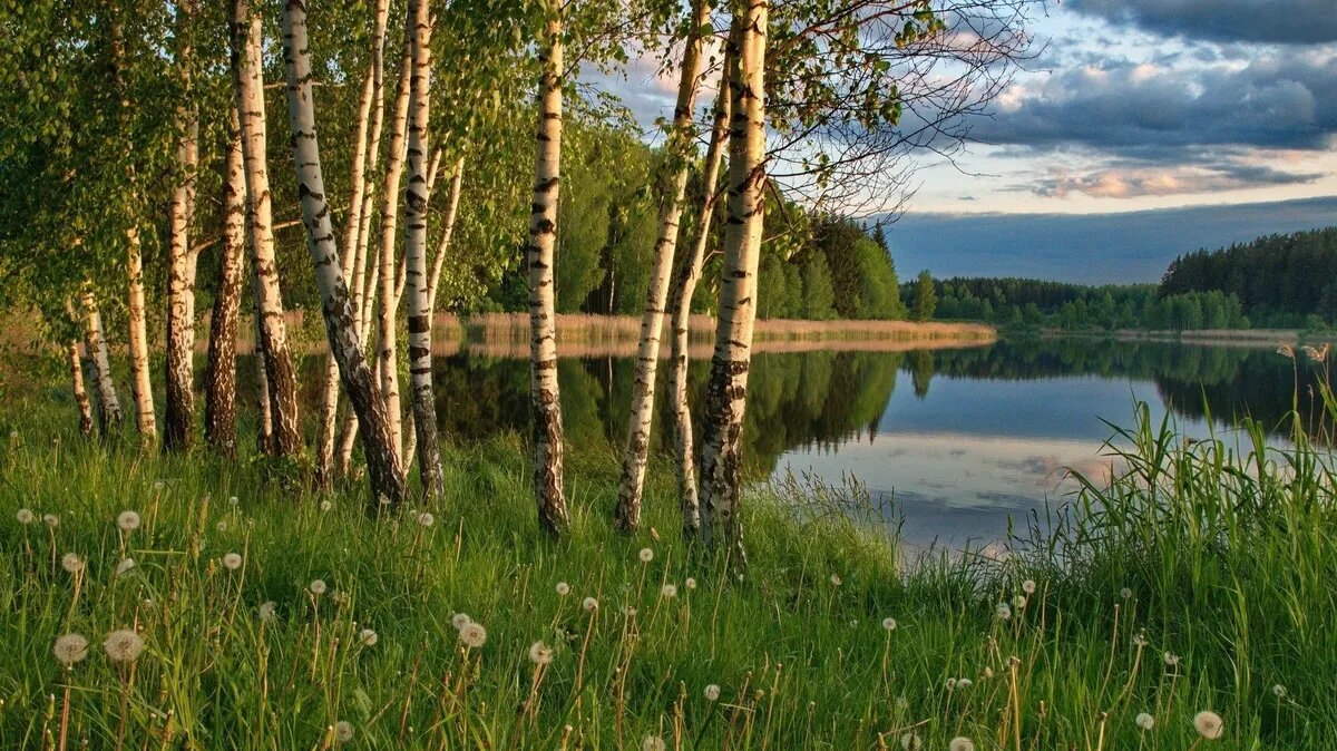 В этот день на полях сеяли гречу. Фото: pxhere.com