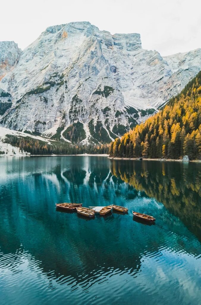 Фото: Adobe (до)  📷
