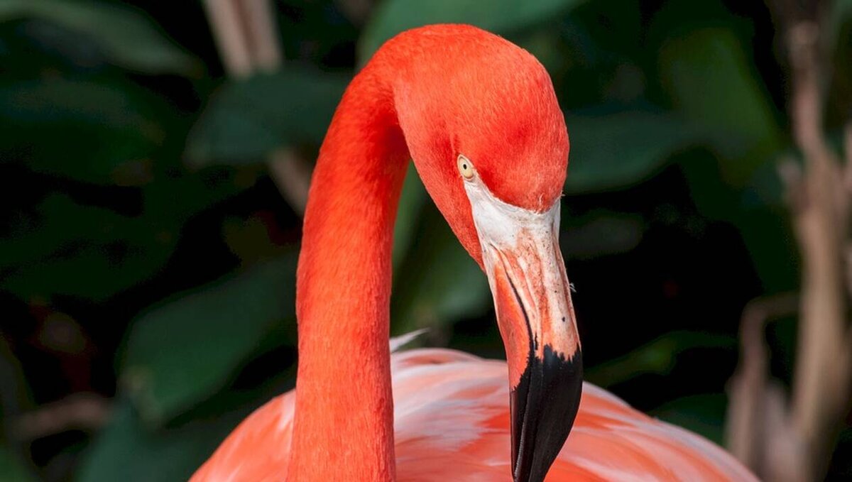 фото из сети