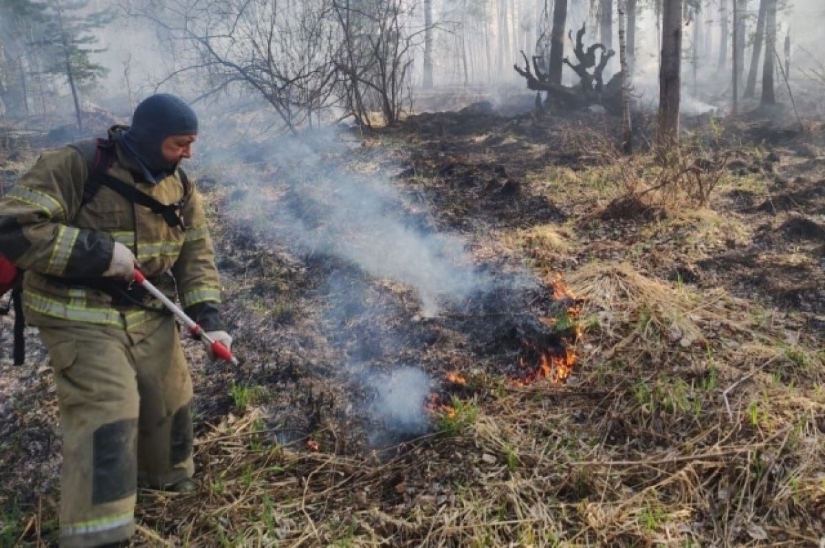    За сутки в Свердловской области потушили еще 10 природных пожаров