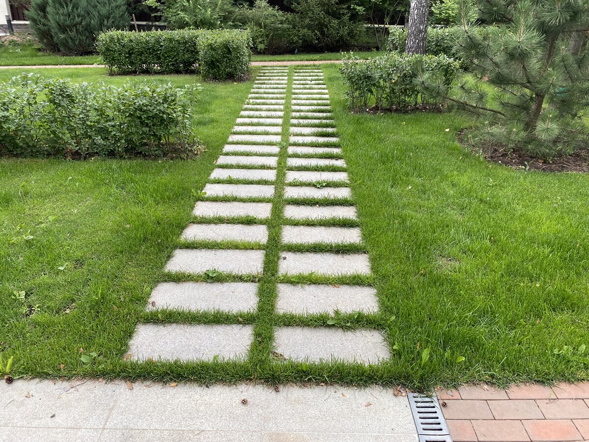 дорожка в сад. пошаговая дорожка на газоне. газоны парковые обыкновенные. пошаговая дорожка. пошаговые плиты для дорожек.