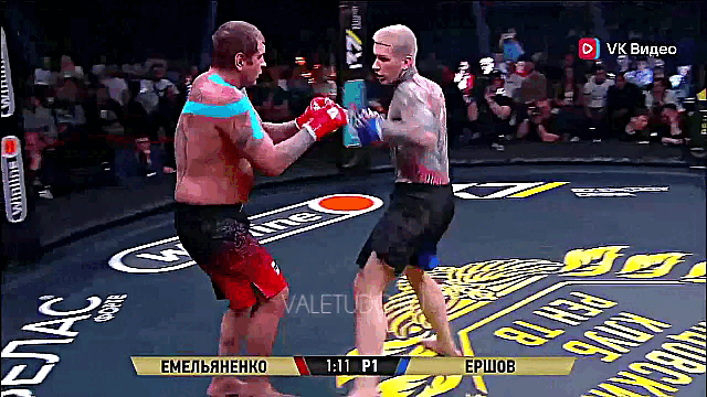 Рефери не дает добить поплывшего АЕ