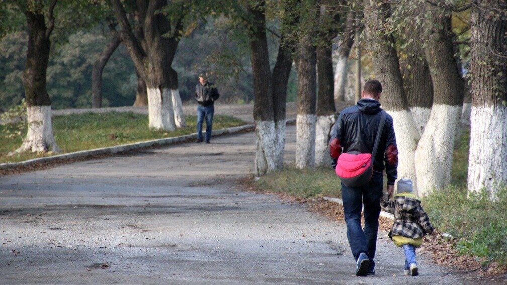     Весна — время цветения ландышей, красивых, но очень опасных ядовитых цветов. В Приморье цветение начинается в начале июня — конце мая, а в центральной части России опасные растения уже цветут вовсю.