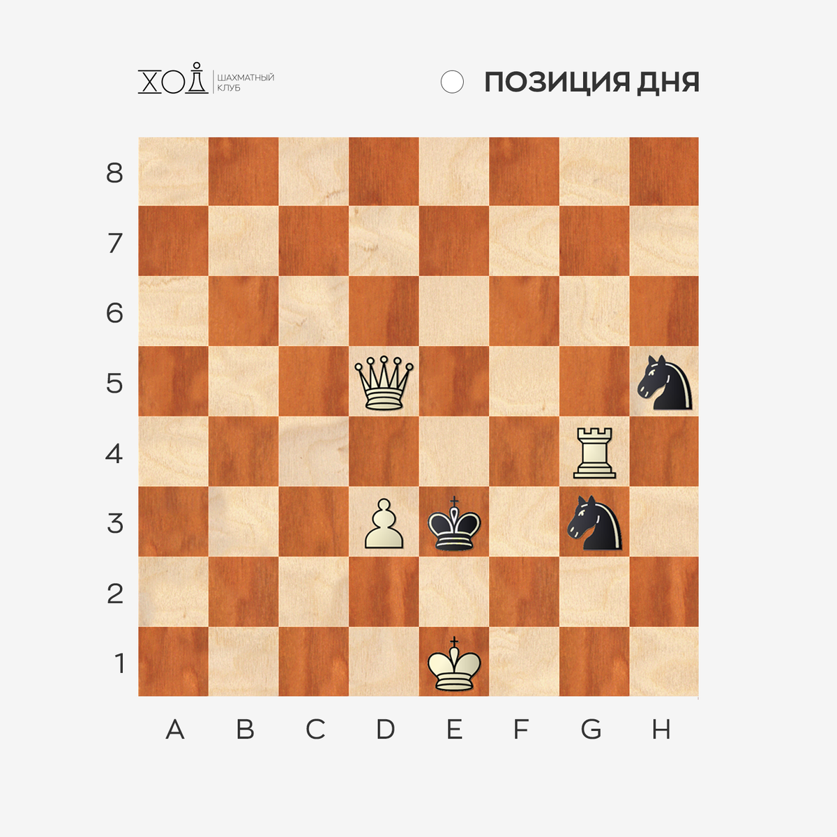 Белая ладья барнаул гимназия 42. Петербургское лето шахматы 2022. Тура в шахматах. 13 шахматы. Фигура короля шахматы современный.