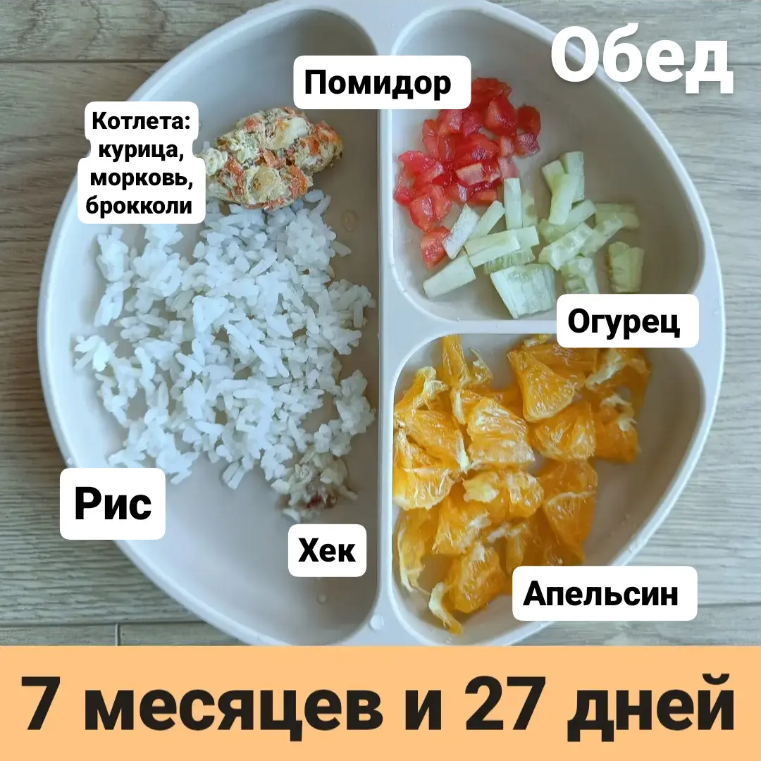 Пример тарелки в 7 месяцев 