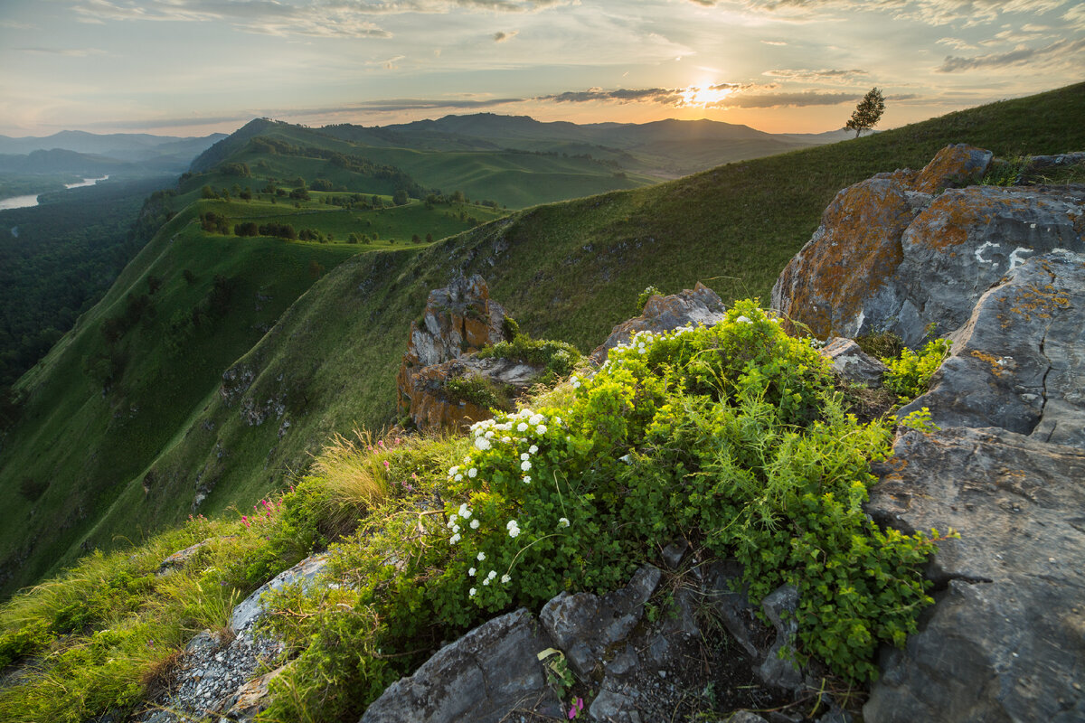 Фото - Валерий Степанюк