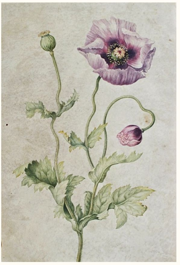 Фото с инета