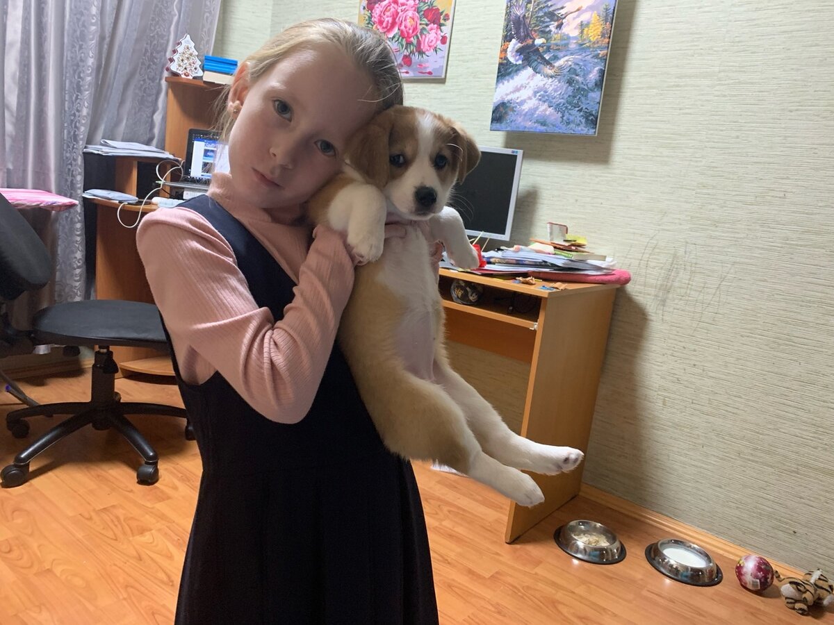 Младшая дочь Любочка обнимает Тасю. Щенок только появился в нашей семье осенью 2022